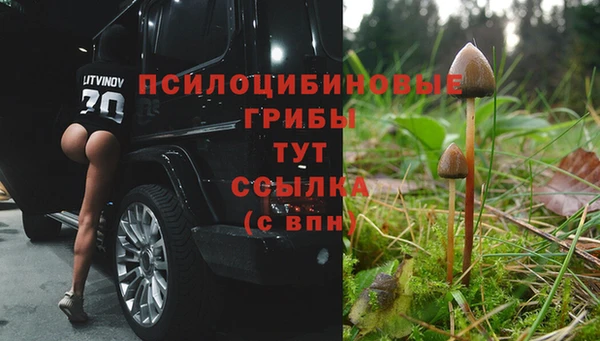 бутират Дмитровск