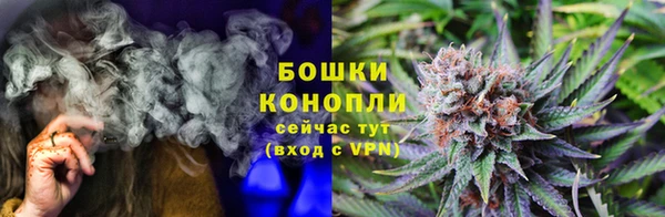 молекула духа Гусиноозёрск