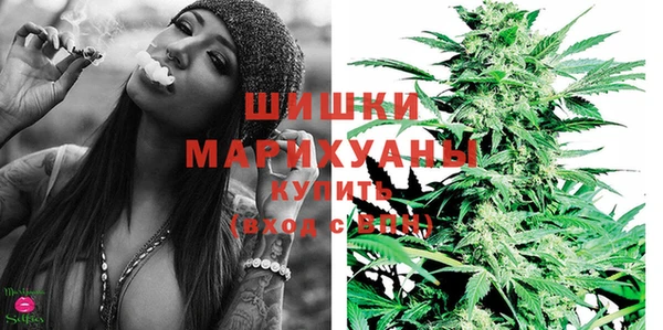 молекула духа Гусиноозёрск